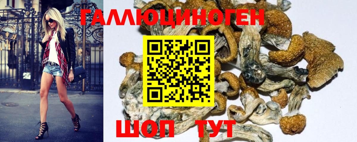 Галлюциногенные грибы GOLDEN TEACHER  Вход с VPN  Псилоцибиновые грибы MAGIC MUSHROOMS  Барнаул 